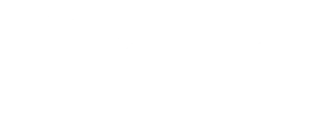 Go Drive Logo white